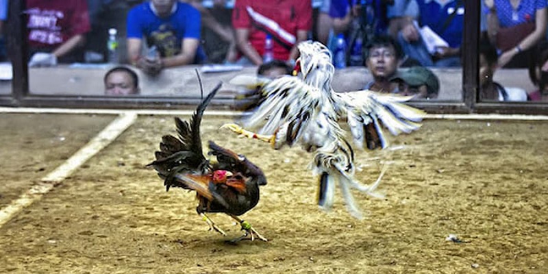 Cách đánh giá kết quả